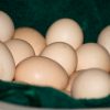 Are You Kidding Me? Farm fresh eggs