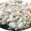 Angora Goat Mohair - by the Pound – Bulk - Image 5